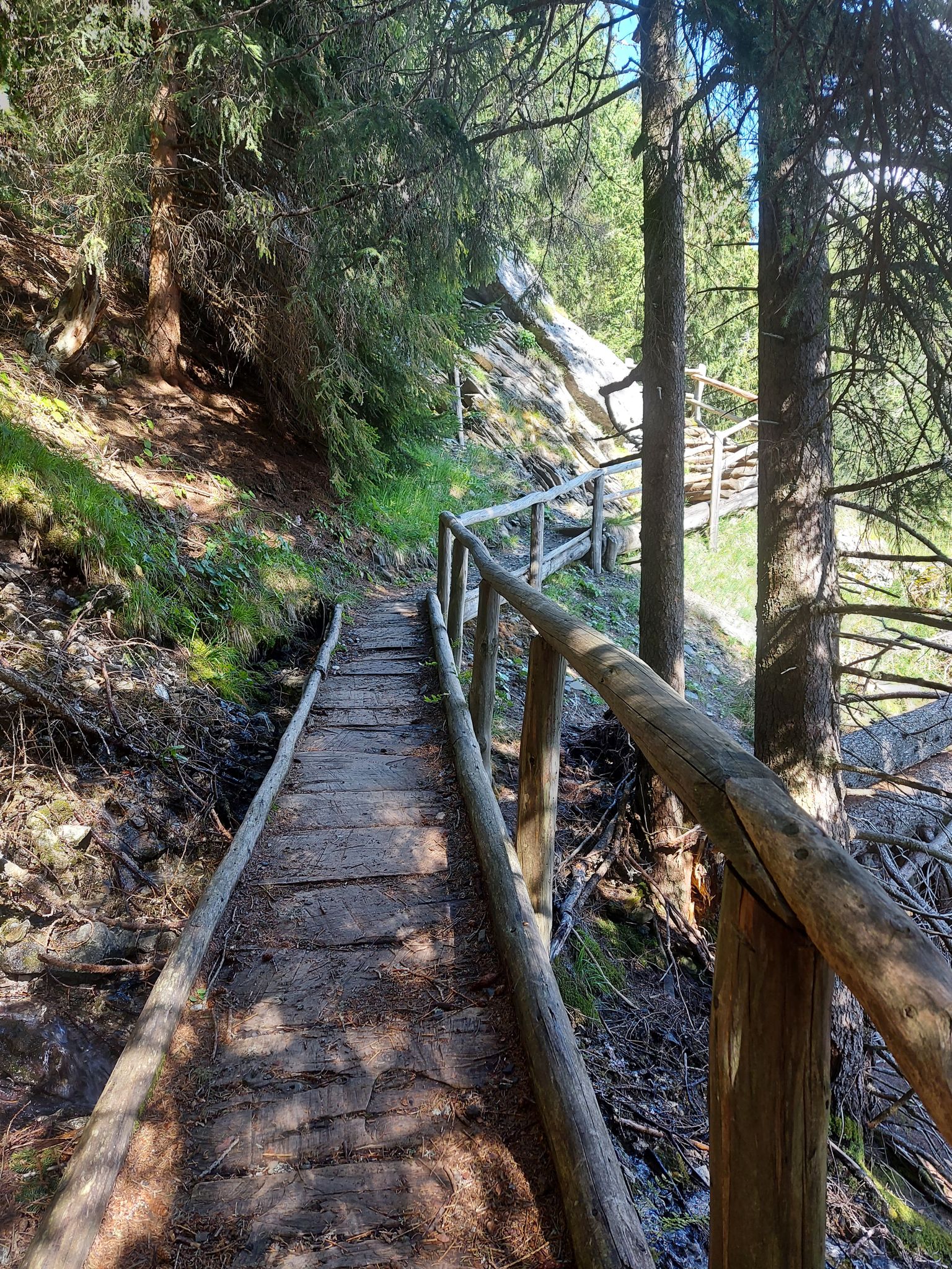 Holzbrücke auf dem Weg von Compatsch nach Marinzen – Wanderungen ...