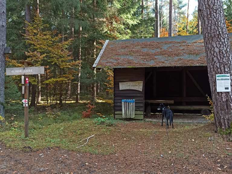 Eichenkreuzhütte: Wanderungen und Rundwege | komoot