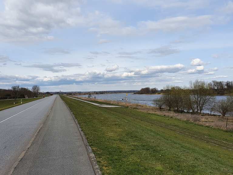 Elbuferstra e Trainingsstrecke Cycle Routes And Map Komoot