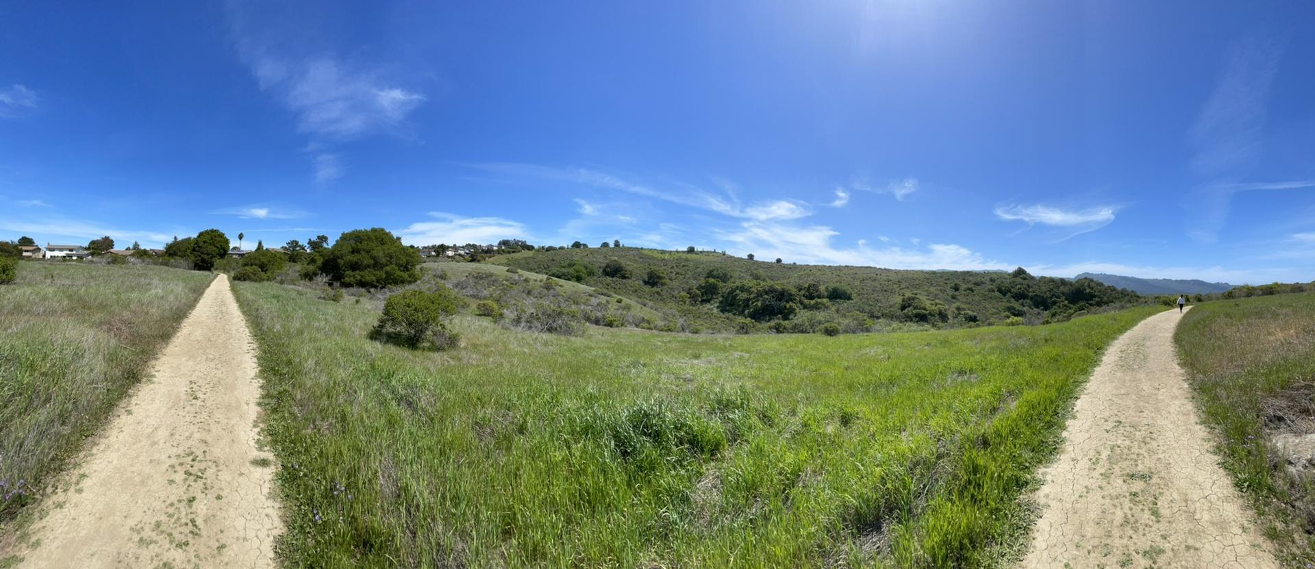 Two dirt paths through vibrant green grassy hills under a clear blue sky.