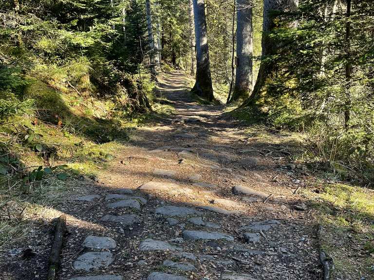 Alter Römerweg - Routes for Walking and Hiking | Komoot