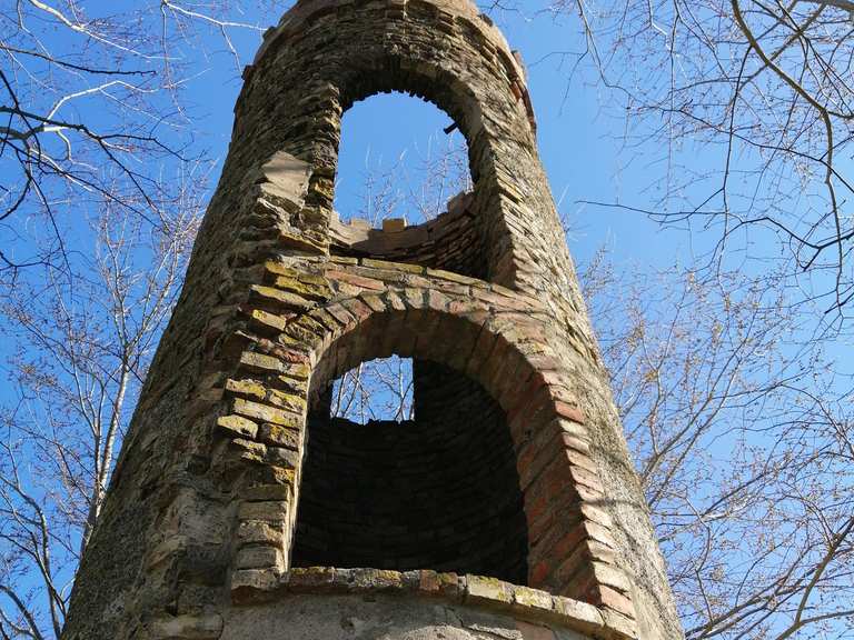 Mäuseturm Wanderungen und Rundwege komoot