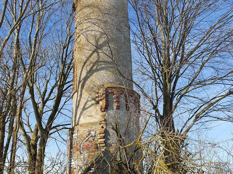Mäuseturm Wanderungen und Rundwege komoot
