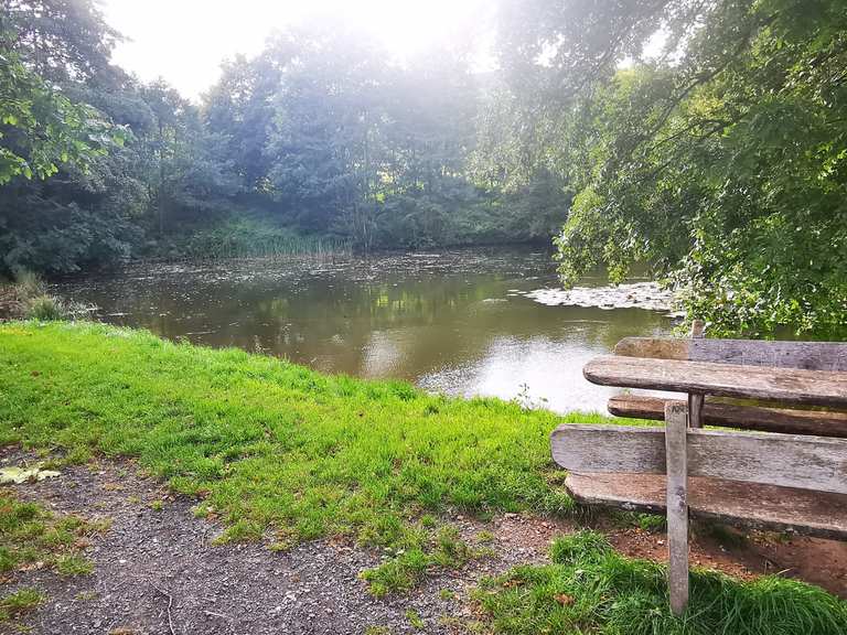 Alter Teich MountainbikeTouren und Trails komoot
