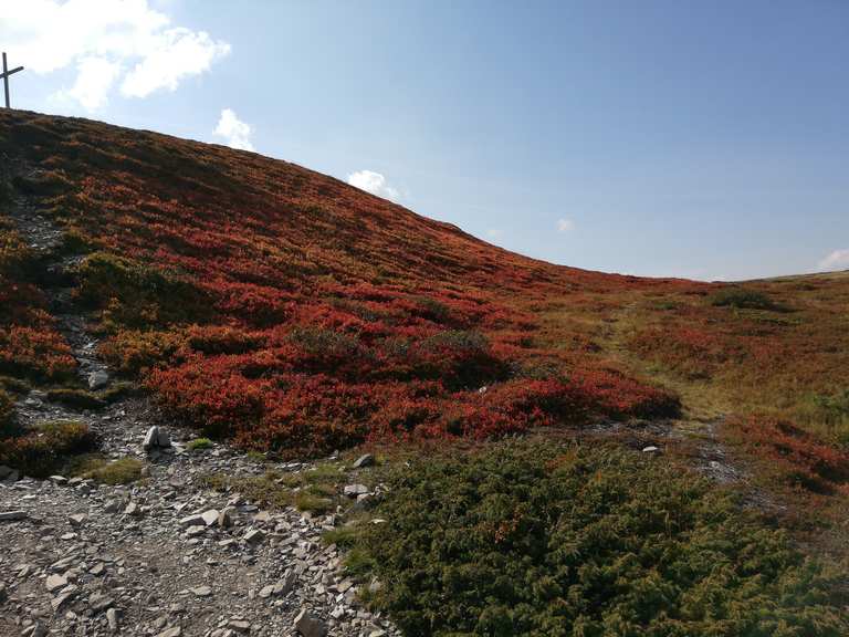 Col Dal Le 2 175 Meter Mountain Bike Trails Tracks Komoot