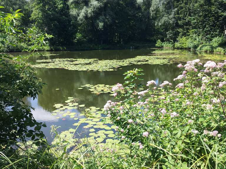 Darmbach Fischteiche Fischerhütte bei den Teichen Runde von