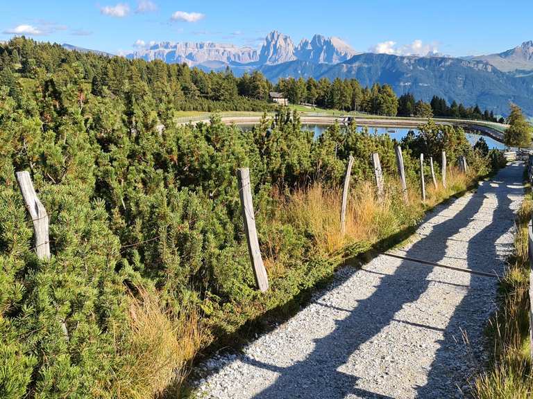 Villanderer Alm Marzuner Schupfe Runde von Villanders Villandro