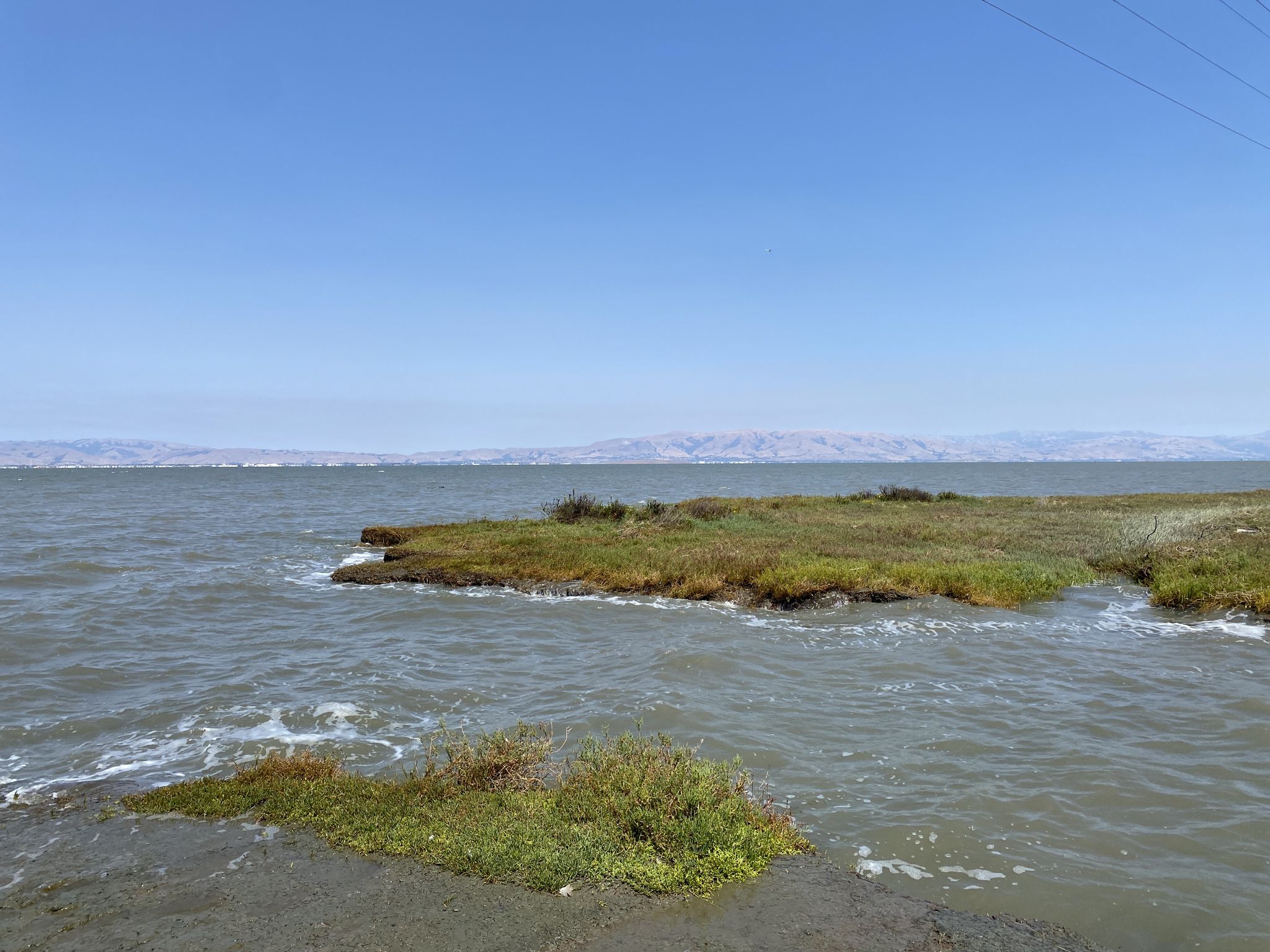 Sunny wide shot of a bay with small marshy islands and distant mountains. - San Francisquito Creek Trail
