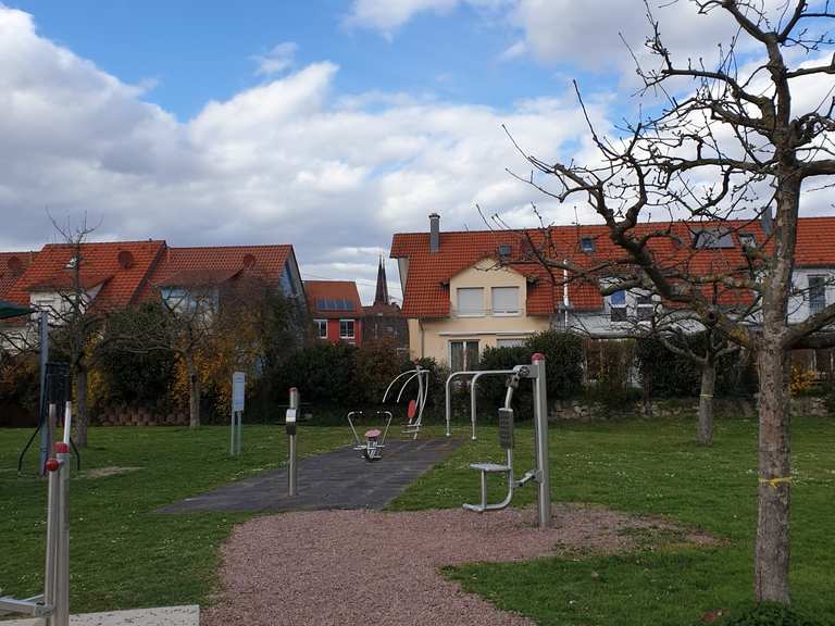 Altes Grün - Kenzingen, Emmendingen | Wandertipps & Fotos | Komoot