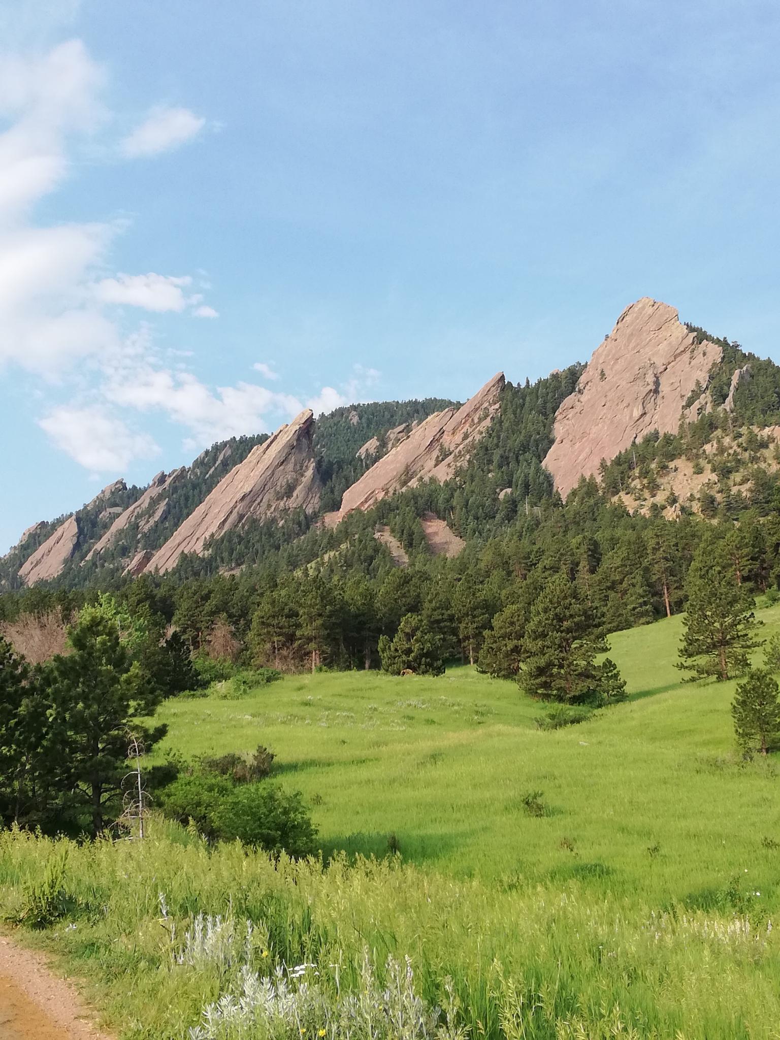 Green meadow with pine trees and large, slanted rock formations under a blue sky.