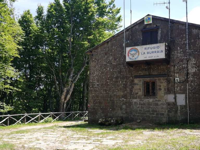 Monte Falco Monte Falterona Itinerario ad anello da Valagnesi escursione komoot