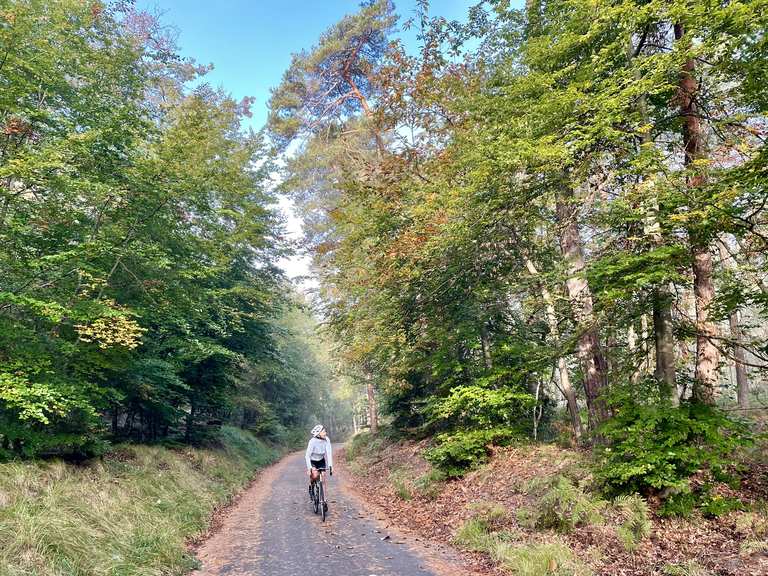 De Barbizon à Fontainebleau - Road Cycle Routes and Map | Komoot