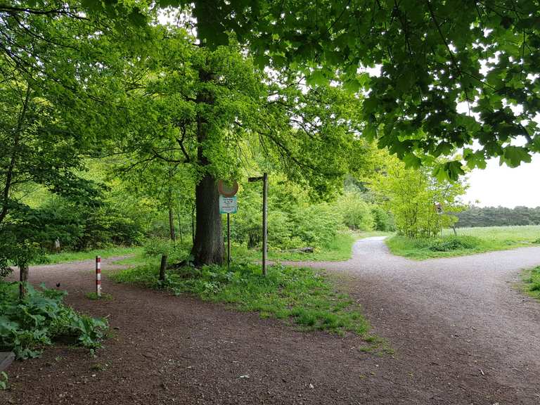 Hildener Stadtwald Impressionen Hilden Mettmann Wandertipps 