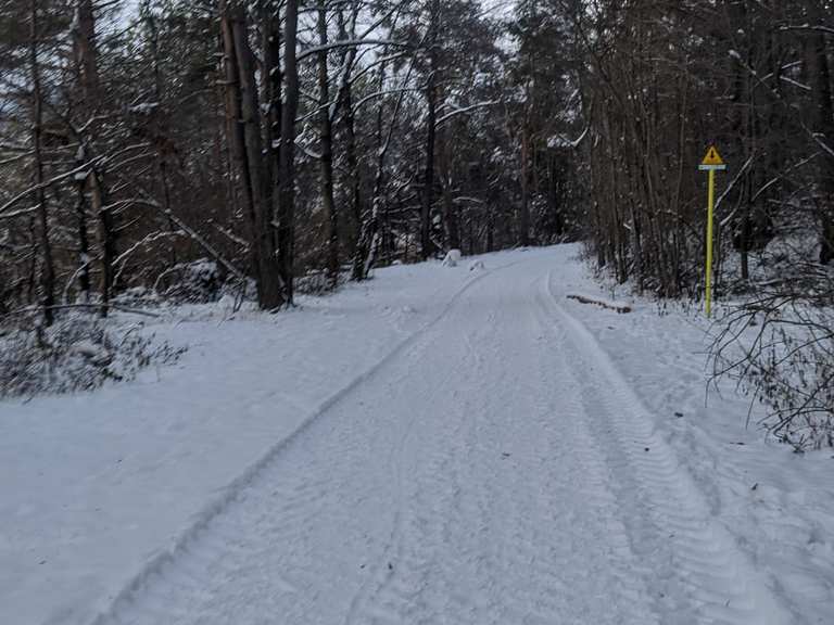 Naturerlebnisweg Raier Moos: Mountainbike-Touren und -Trails | komoot