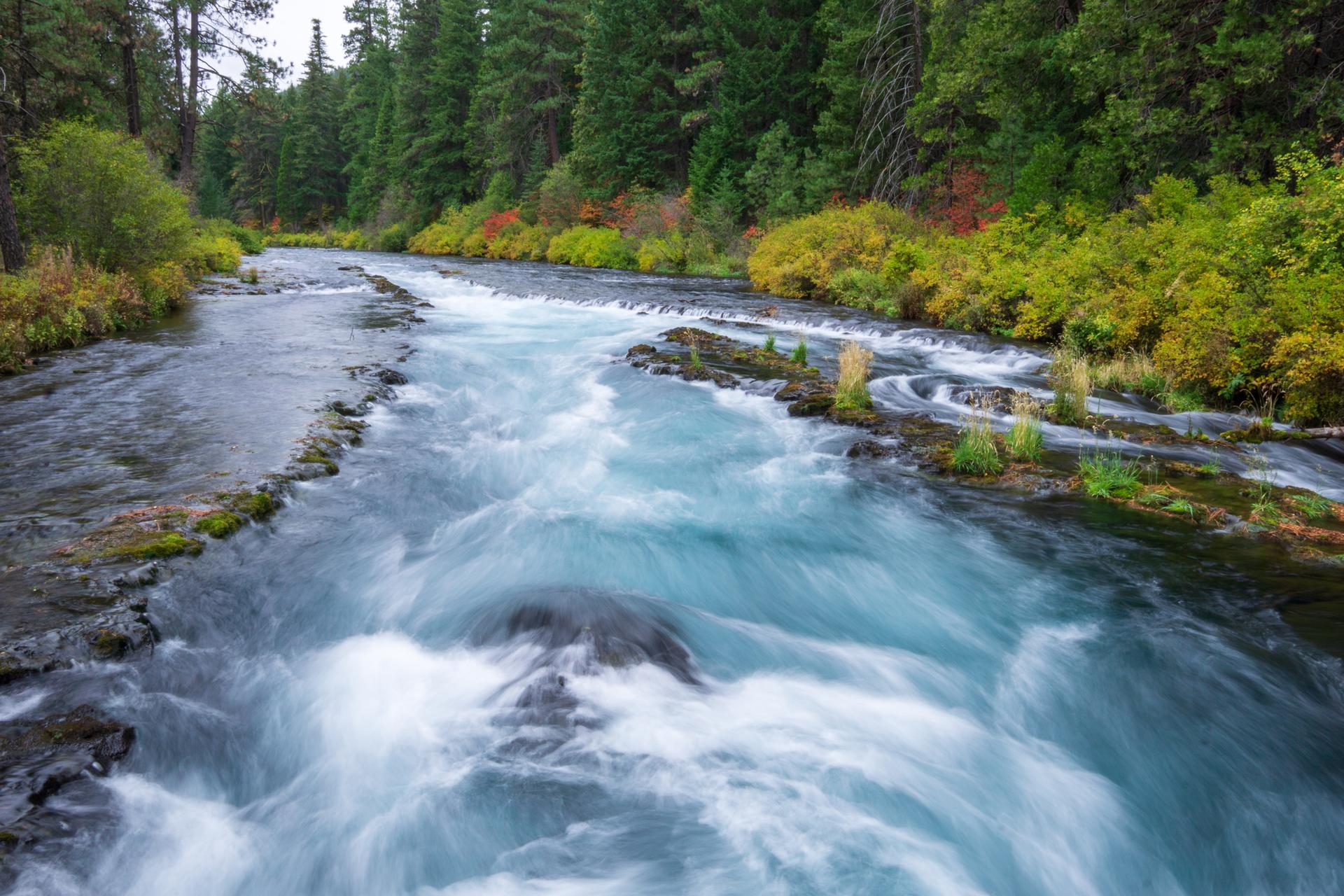 Rushing blue river flows through a vibrant forest under overcast skies.
