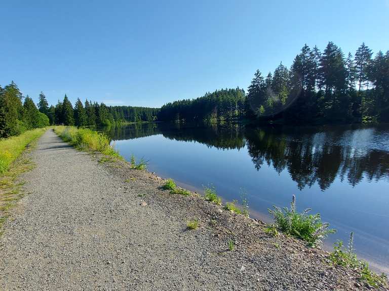 Bärenbrucher Teich (HWN 137) Wanderungen und Rundwege komoot