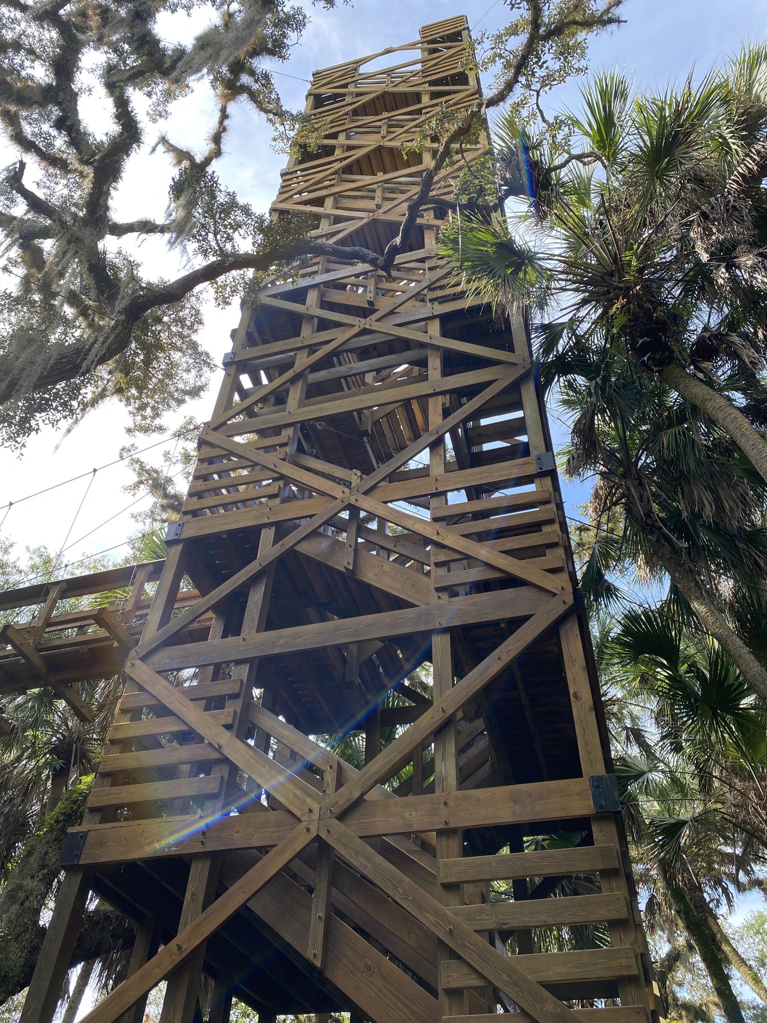 Tall wooden observation tower surrounded by mossy trees and palms under bright sky.