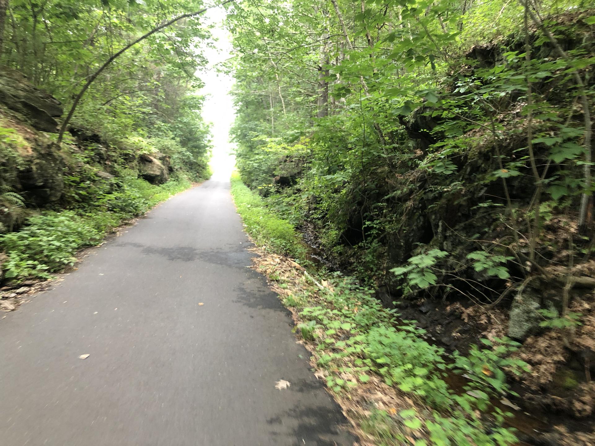 Paved path through a dense green forest with bright light ahead.