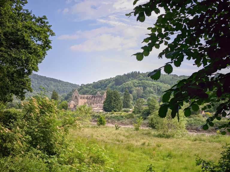 View of Tintern Abbey – Hiking & Cycling Routes | Komoot