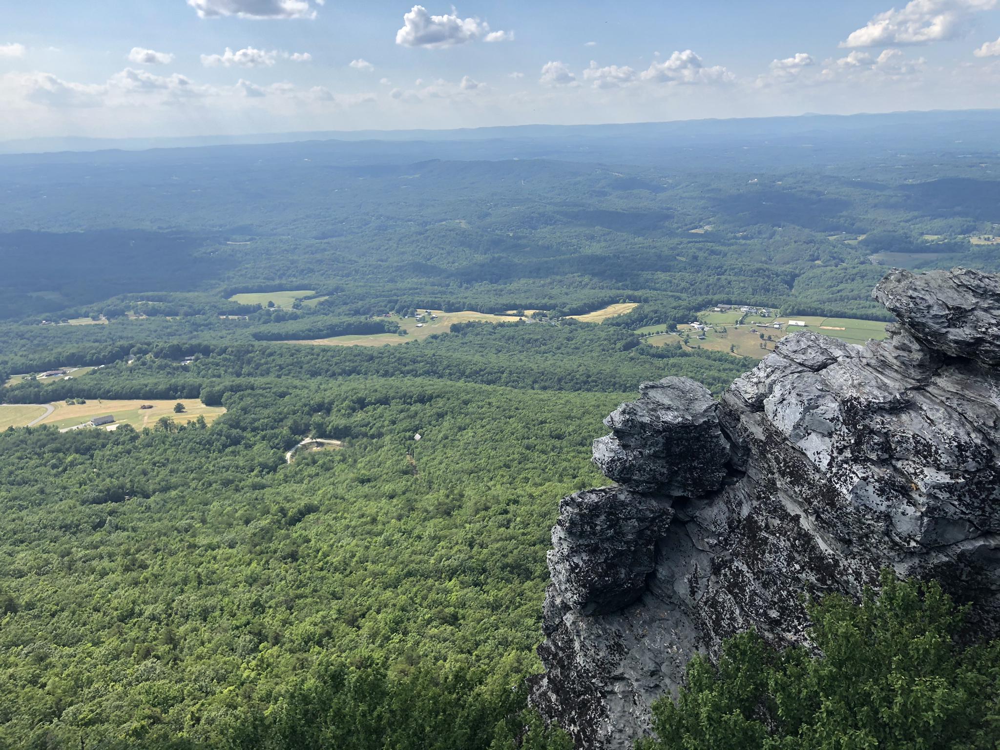 Panoramic view of a vast green forested landscape from a rocky cliff.