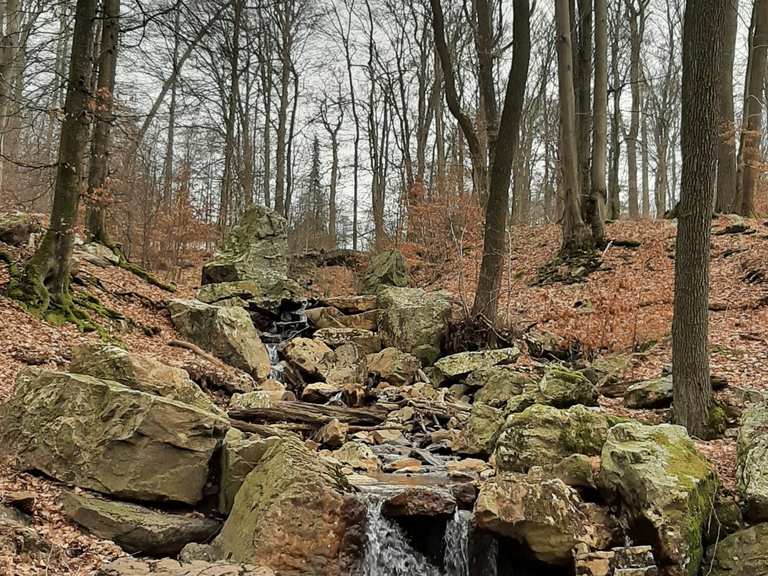 Belle montée vers la source de la Géronstère Itinéraires de rando et marche Komoot