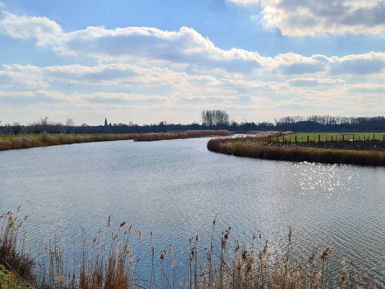 Meanderende Oude Schelde wandelroutes en hikes | Komoot