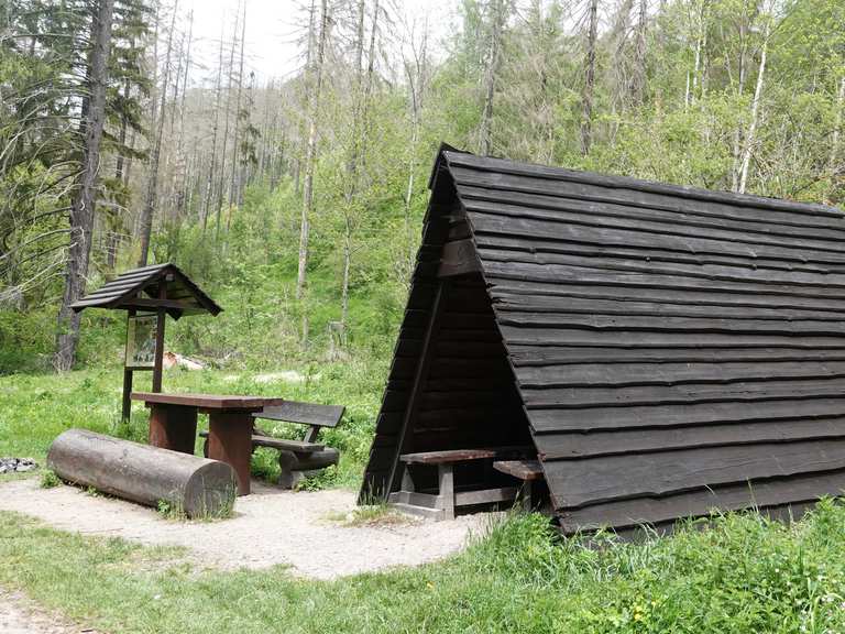 Schutzhütte am Mettenberg (203) Routes for Walking and Hiking | Komoot