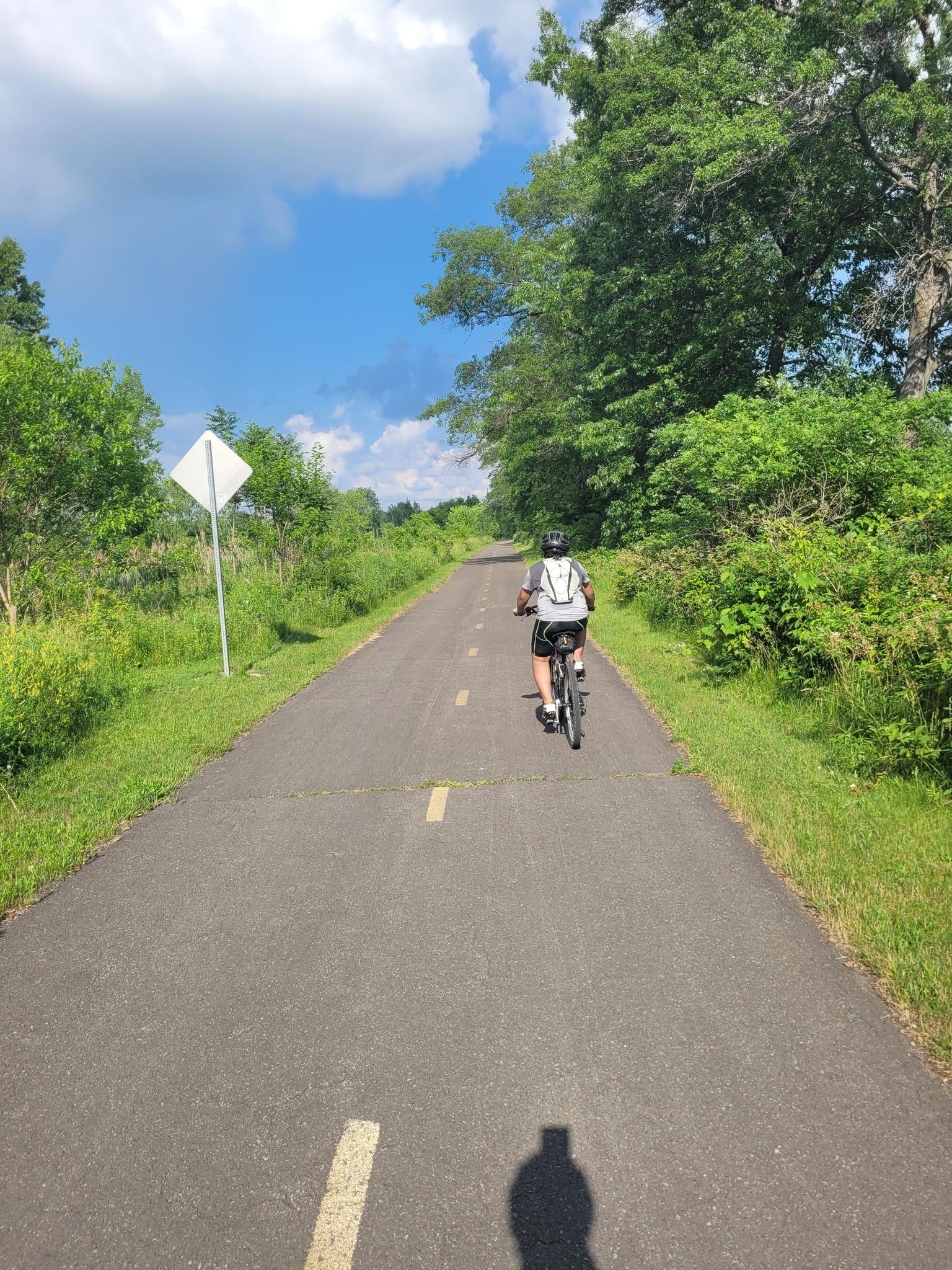 Person cycling on a sunny paved path lined with green trees and bushes.