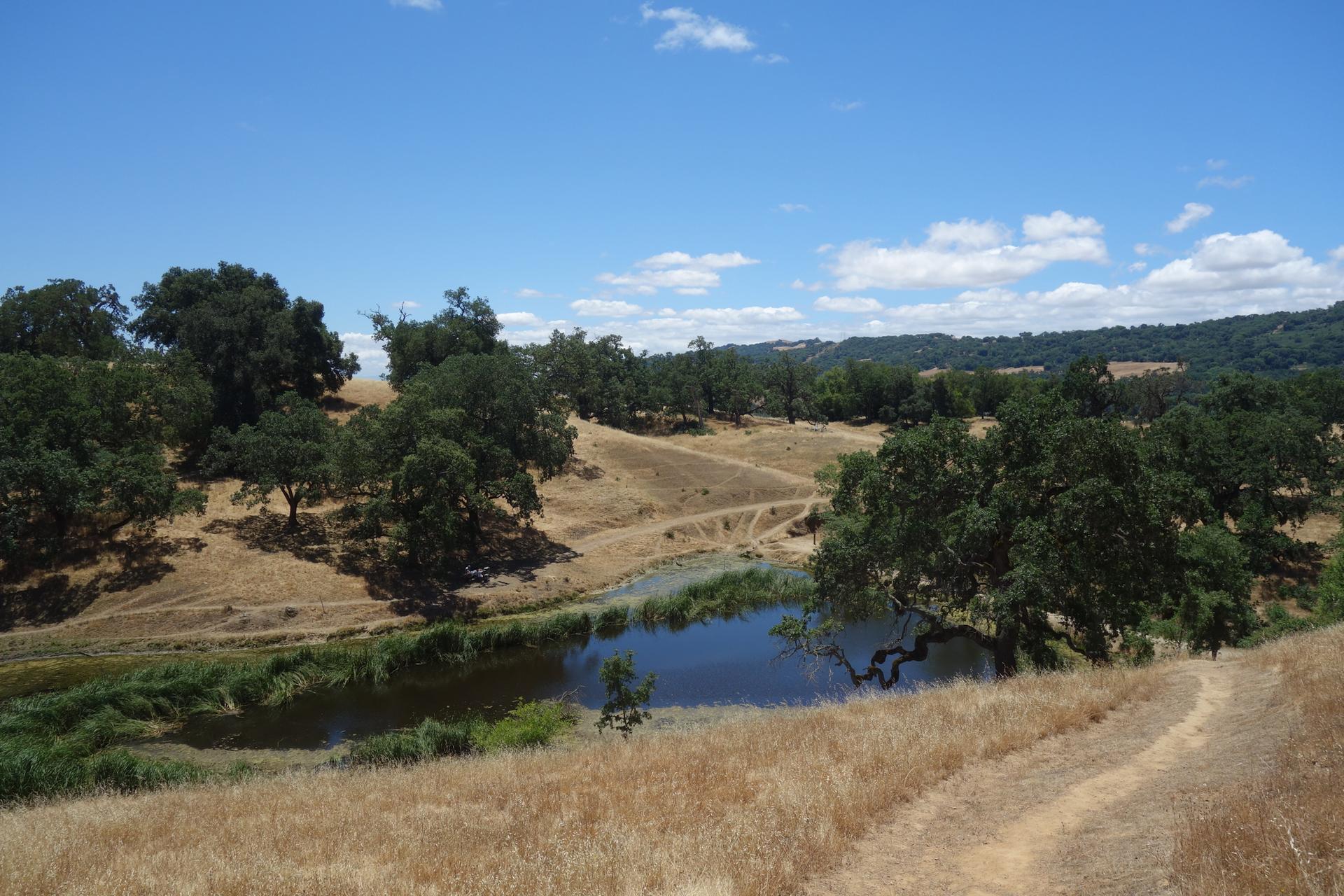 Sunny day over dry hills with a pond and winding dirt paths.