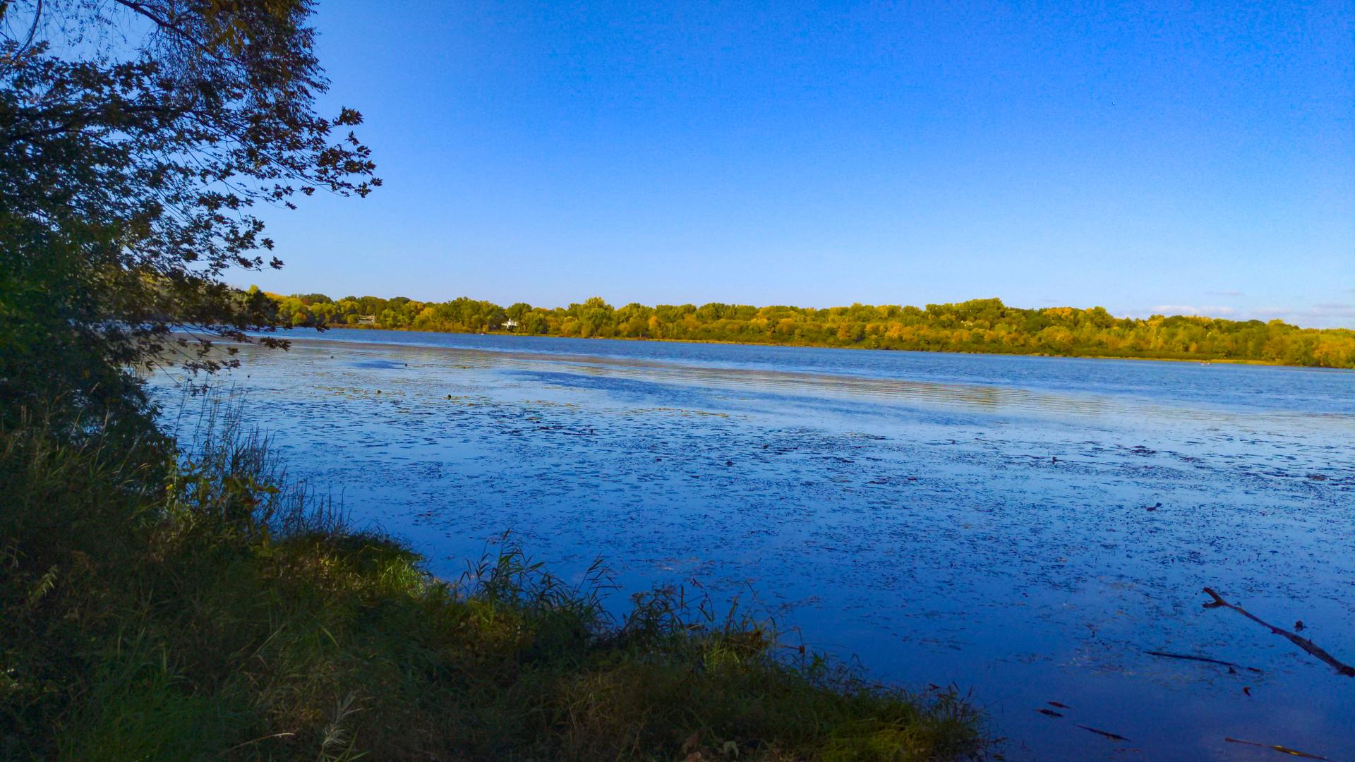 Expansive blue water with green trees on the distant shore under a clear sky.