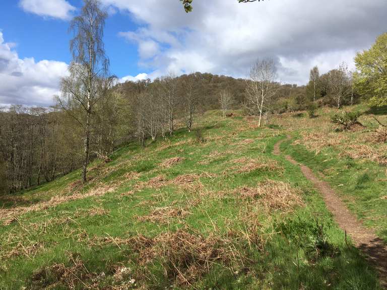 Lady Mary’s walk & Laggan Hill loop from Crieff hike Komoot