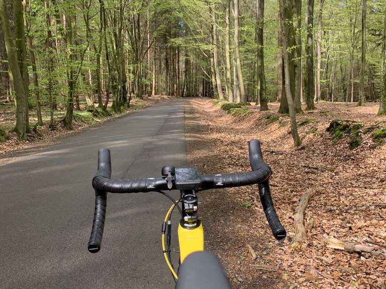 fahrrad eckernförde