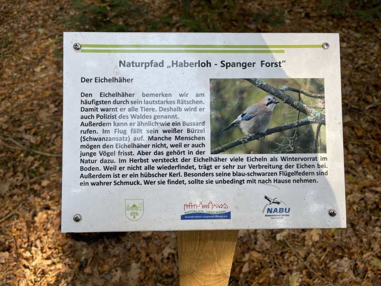 Naturlehrpfad Haberloh–Spanger Forst – Wander- & Radrouten | Komoot