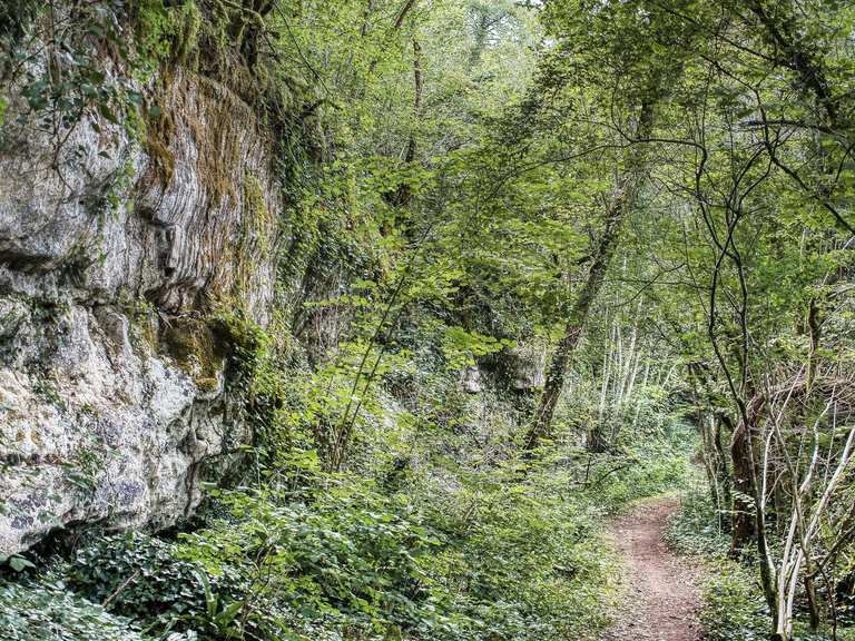Vallée de l'Anguienne Wanderungen und Rundwege komoot