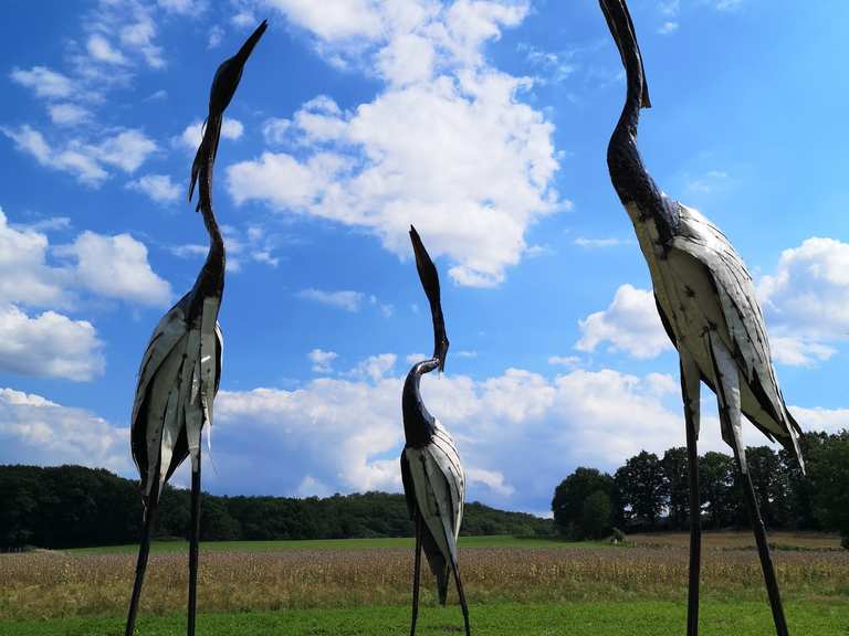 Skulpturenpark am Schloss Steinhausen MountainbikeTouren und Trails