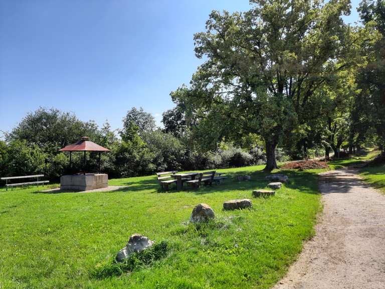 Friedenshöhe Am Strudelbach Runde von Flacht Wanderung Komoot