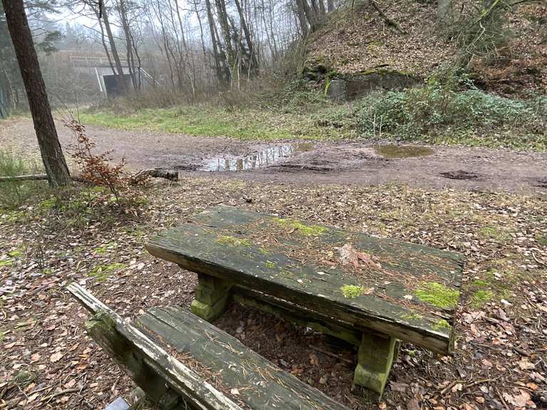 Aire de pique-nique dans la Forêt du Palatinat – Itinéraires randonnée ...
