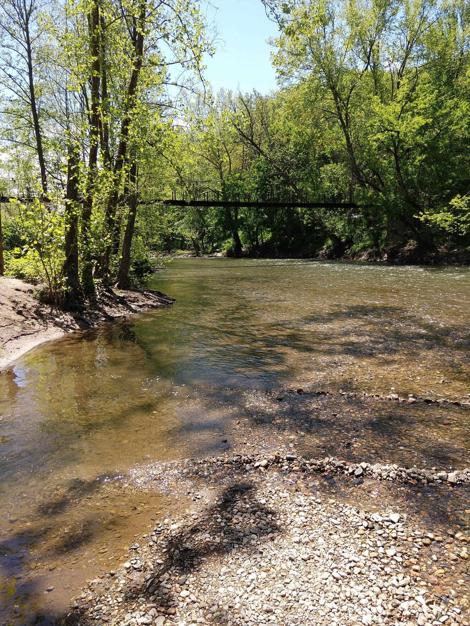 Sunny river flowing through lush green trees with gravel banks.