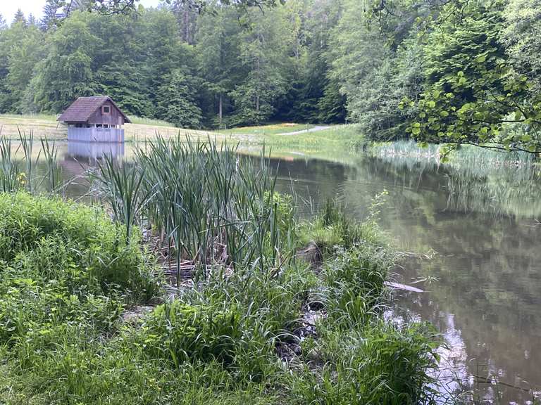 Michelsee bei AglasterhausenMichelbach Aglasterhausen