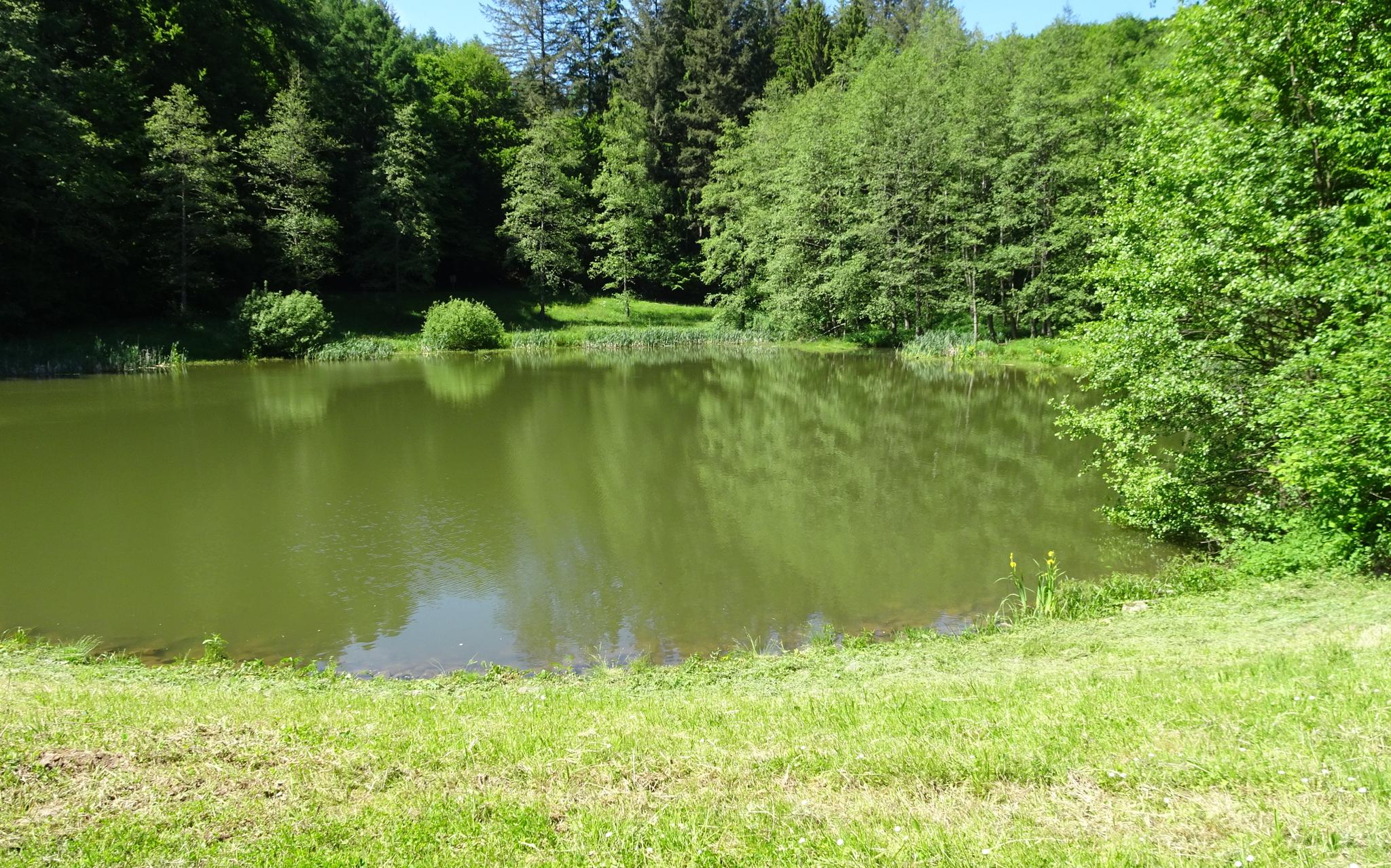 Michelsee Bei Aglasterhausen-Michelbach : Radtouren Und Radwege | Komoot