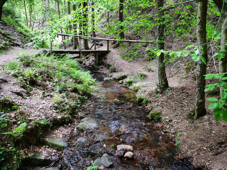 Lochbachpfad mit Lochbachklamm von Wallenstein aus Wanderungen und