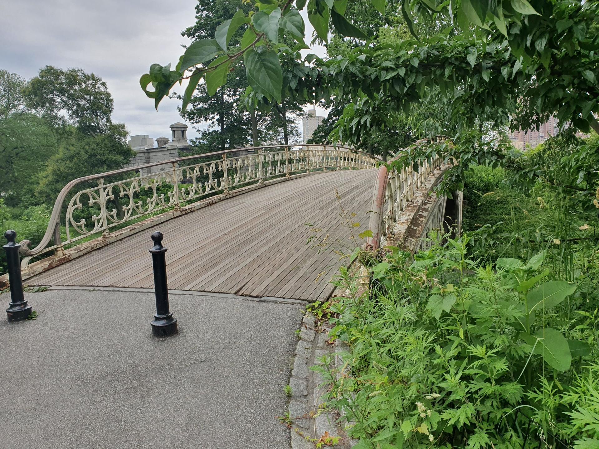Ornate wooden bridge surrounded by lush green foliage on a cloudy day.