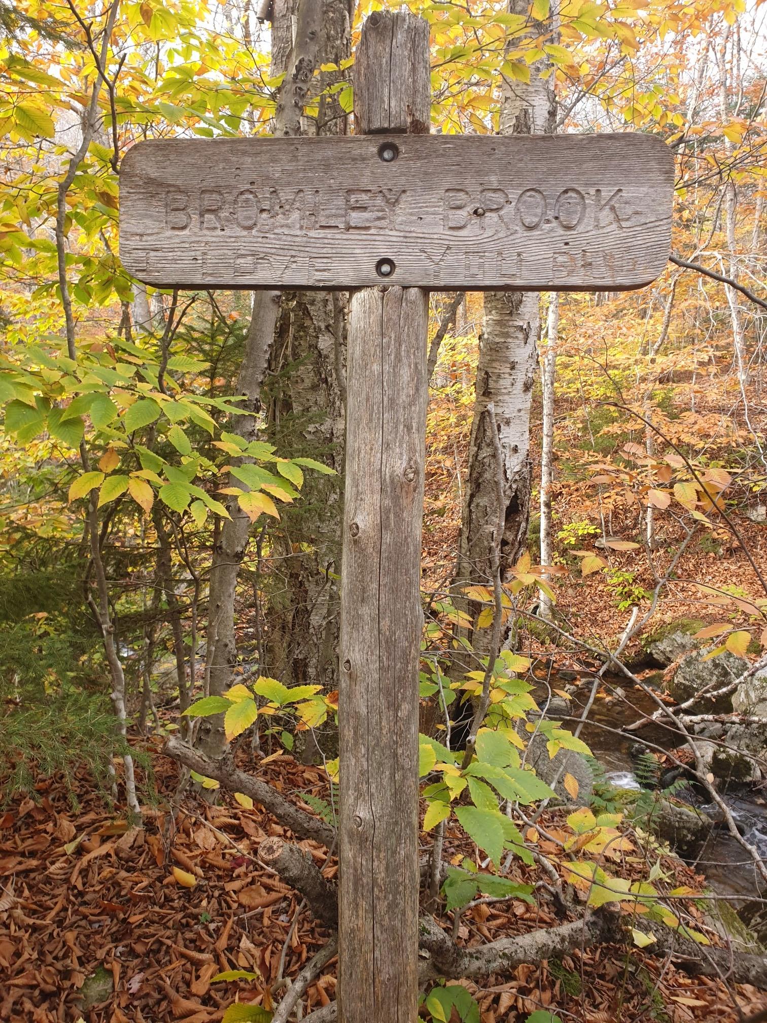 Wooden sign on a post amidst vibrant autumn foliage in a forest.