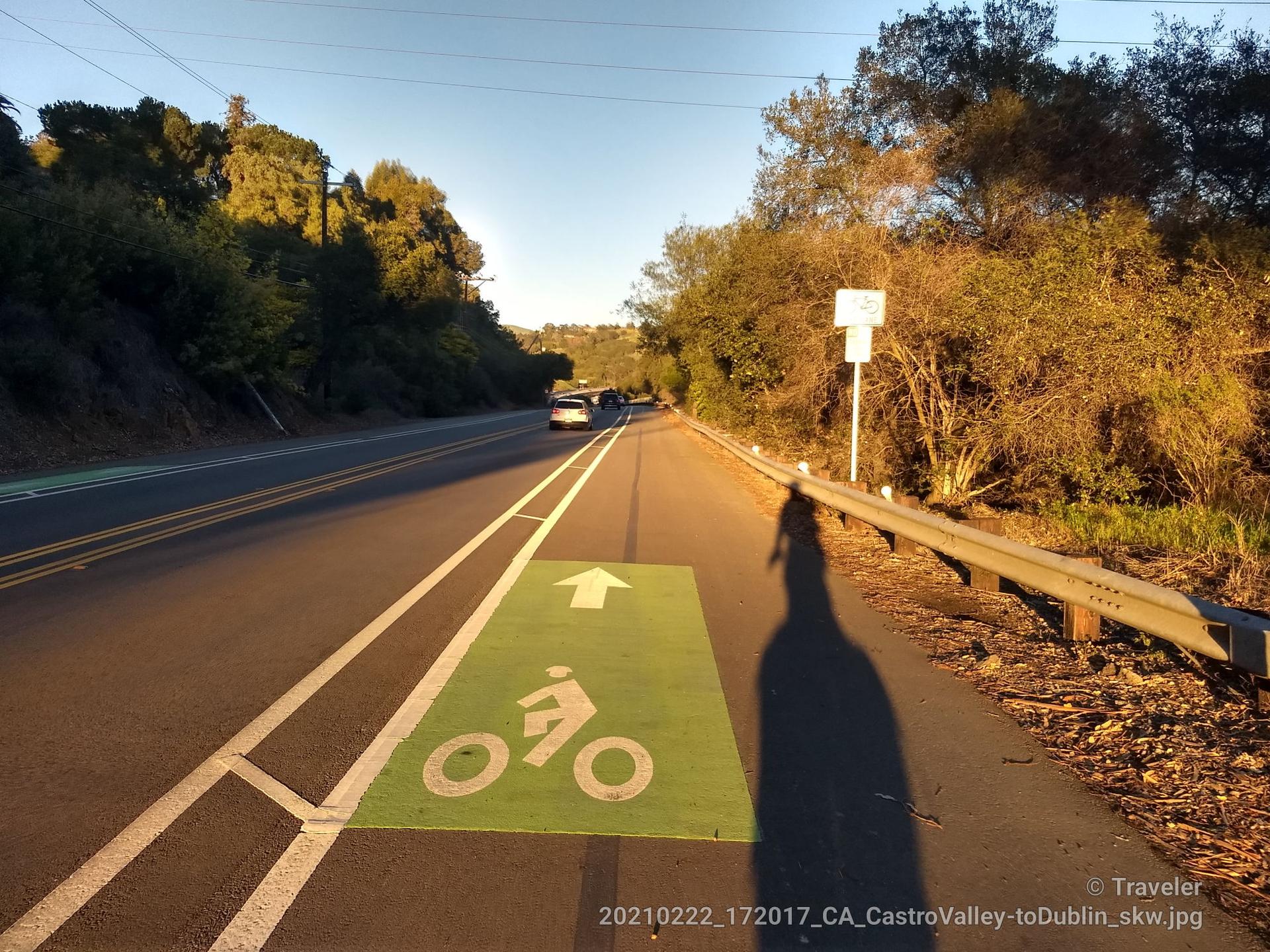 Green bicycle lane on a sunny road with trees and a long shadow.
