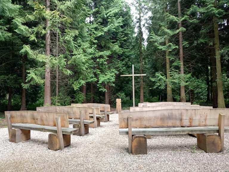 Waldruhestätte Meerbusch Routes for Walking and Hiking | Komoot