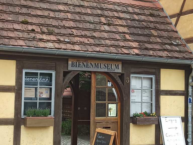 Bienenmuseum, Garten und Cafe Wanderungen und Rundwege komoot