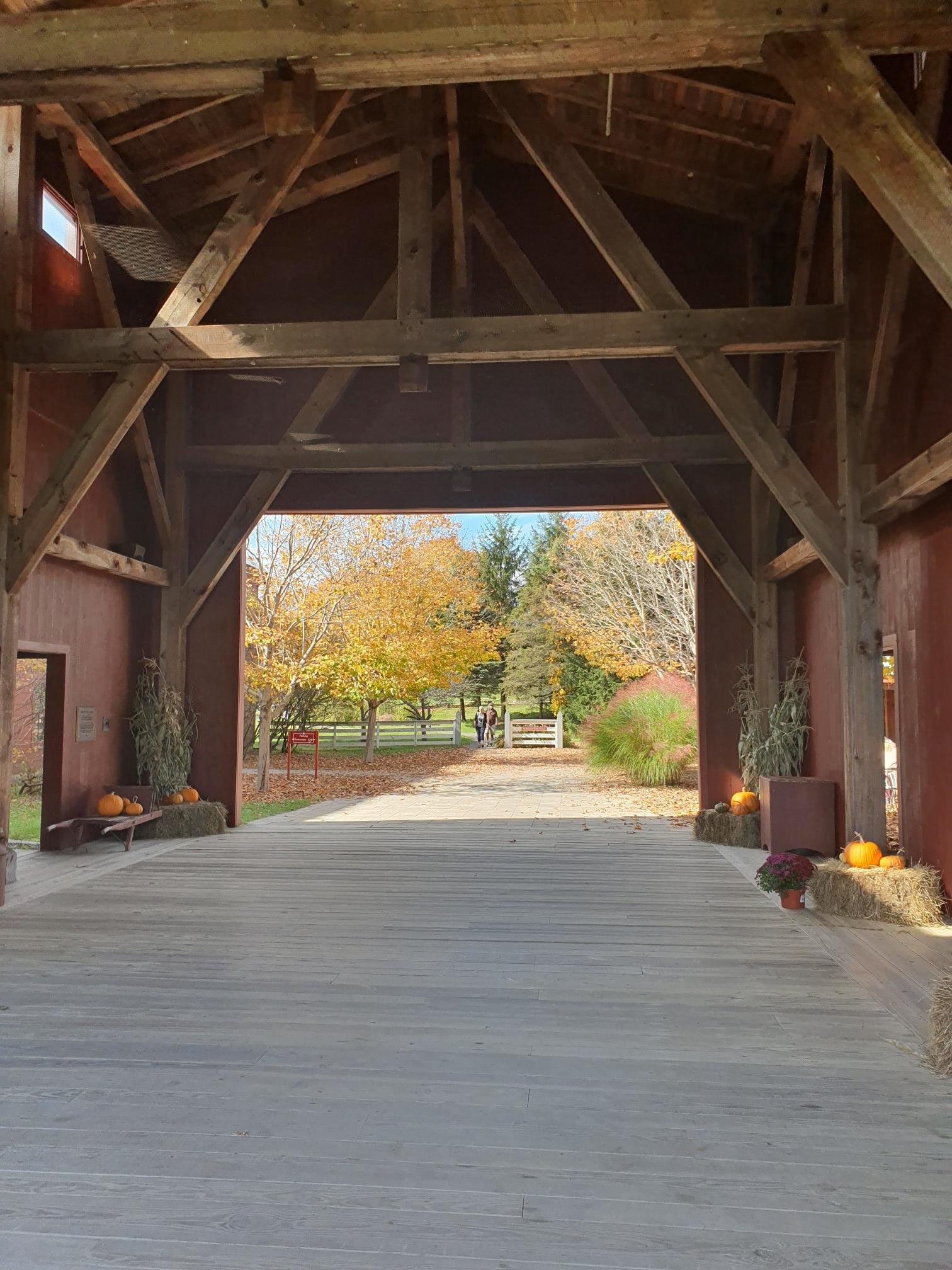 Covered wooden structure looking out to bright autumn trees and a path.