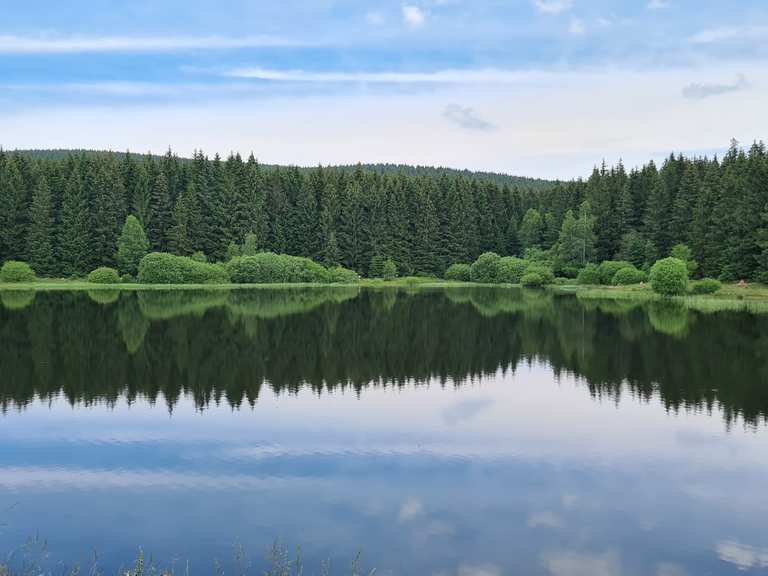 Zankwieser Teich Mountain Bike Trails & Tracks Komoot