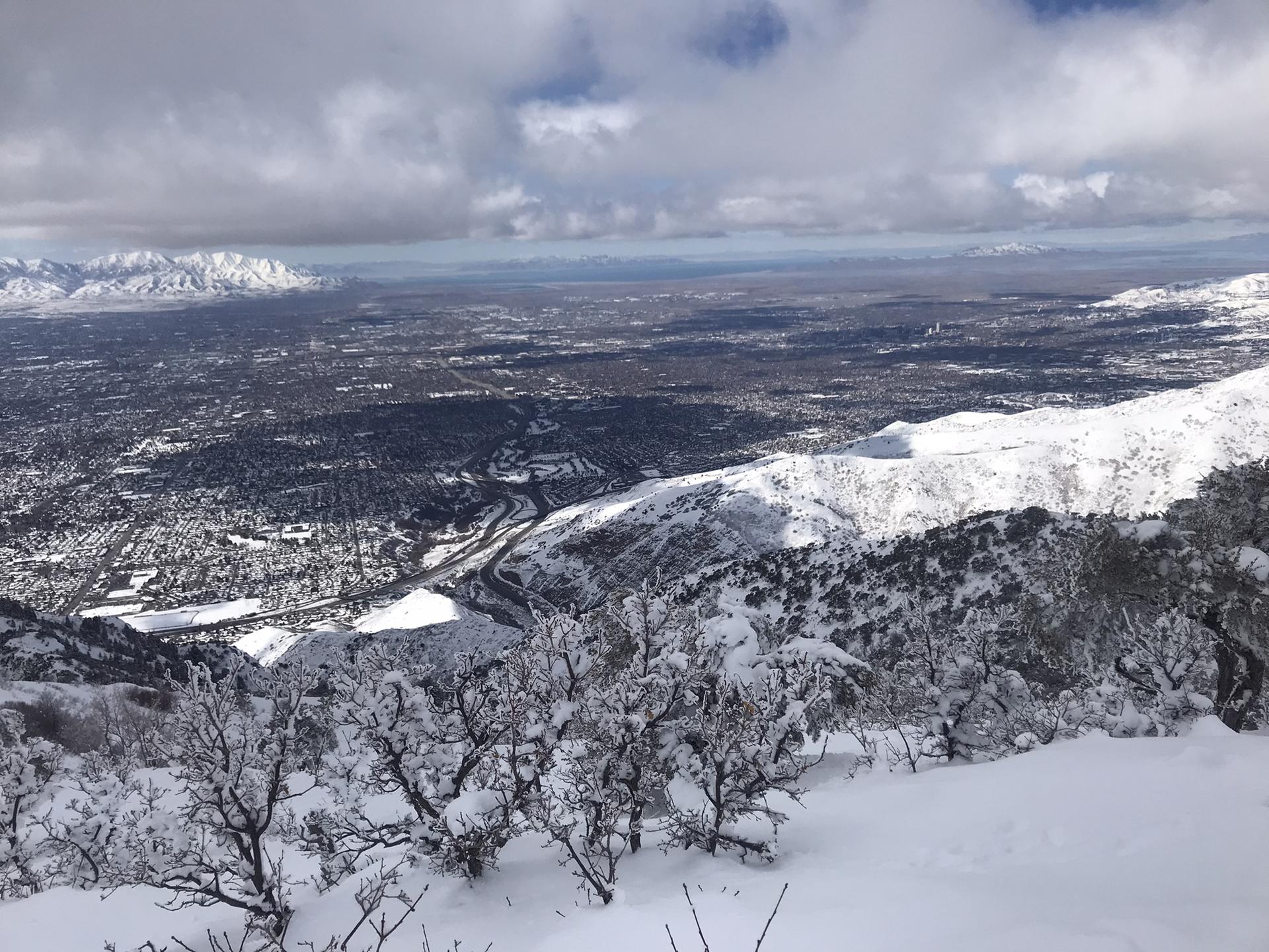 Frosted trees on a snowy slope overlooking a city and distant mountains.