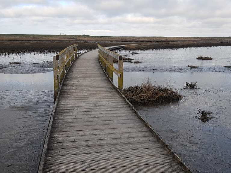 Naturerlebnispfad Langwarder Groden - wandelroutes en hikes | Komoot